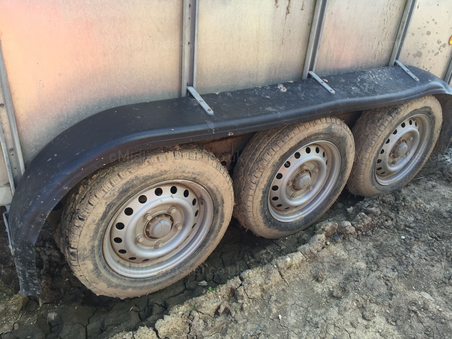 2013 IFOR WILLIAMS TRI AXLE CATTLE TRAILER - Image 7 of 14