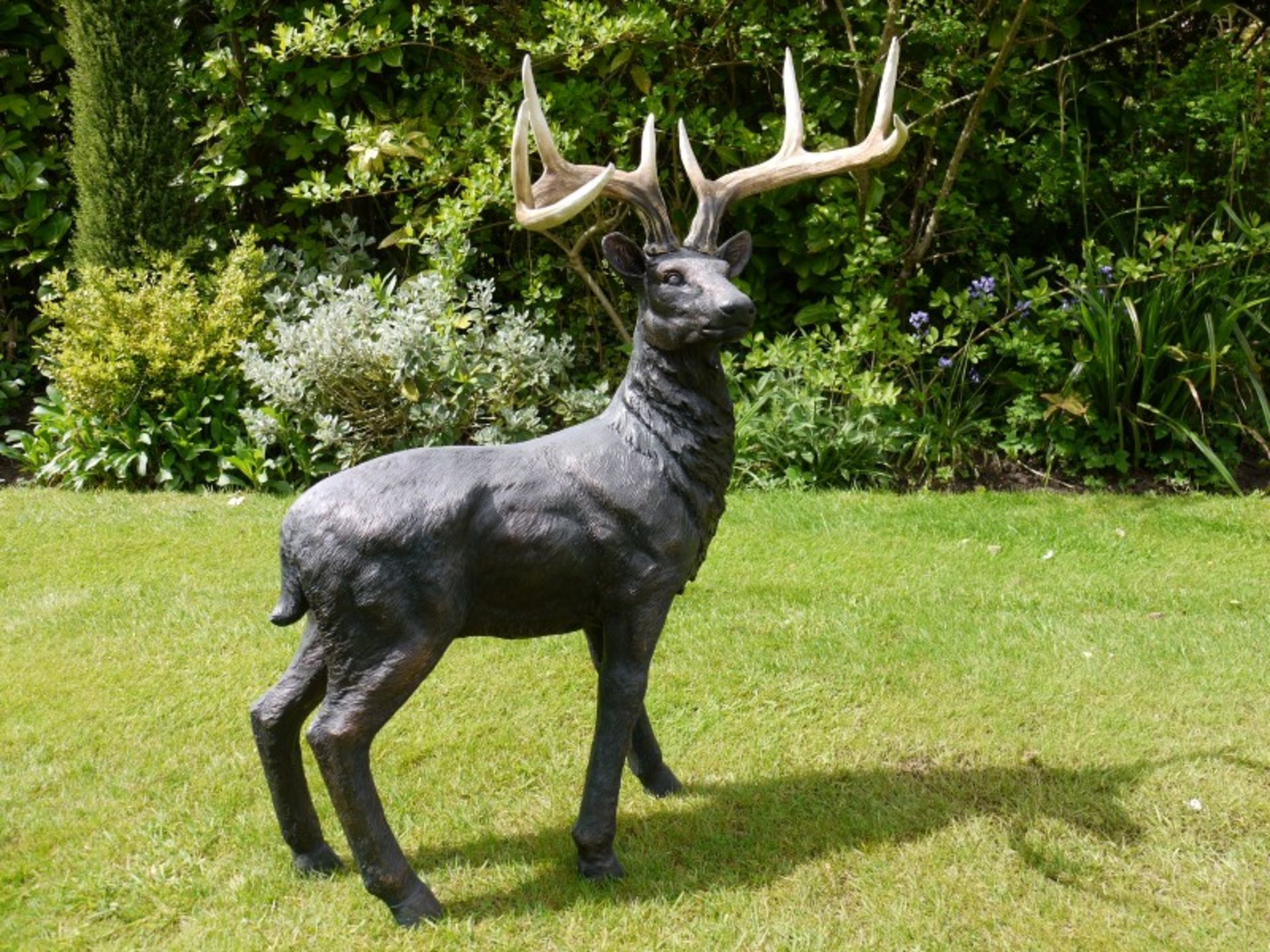 STAG *NO VAT* - Image 3 of 4