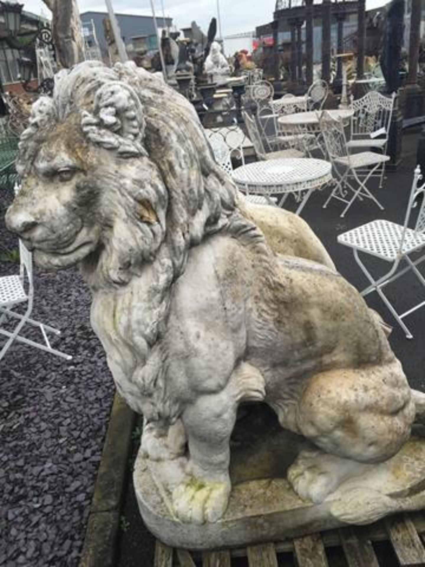 STONE LIONS - GATE KEEPERS 1/2 TON EACH! 12OOmm tall - Image 3 of 3