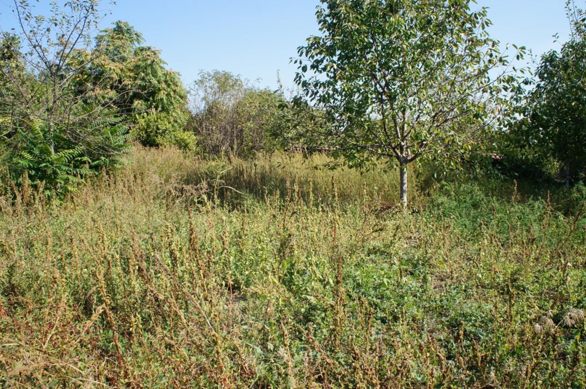 BIG FREEHOLD HOME AND LAND IN SLOMER, BULGARIA - Image 16 of 42