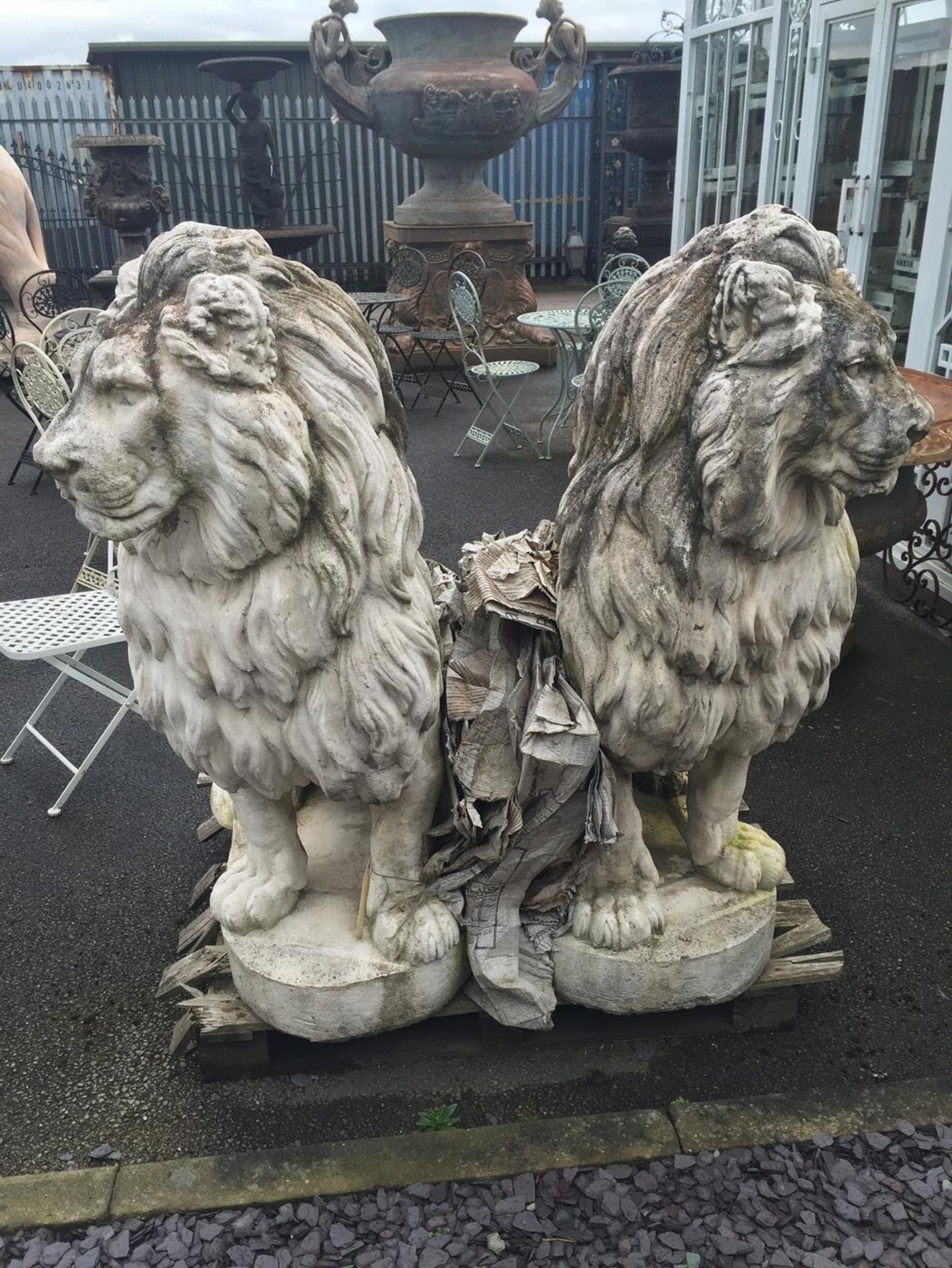 STONE LIONS - GATE KEEPERS 1/2 TON EACH! 12OOmm tall