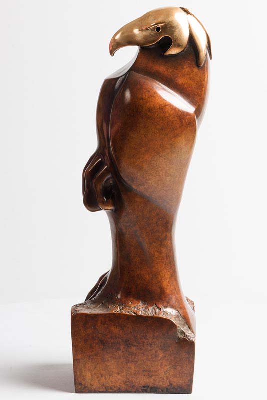 Anna Linnane (b.1965) Hooded Eagle bronze - no 4 from an edition of 9 signed & numbered 55 x 14 x - Image 2 of 7