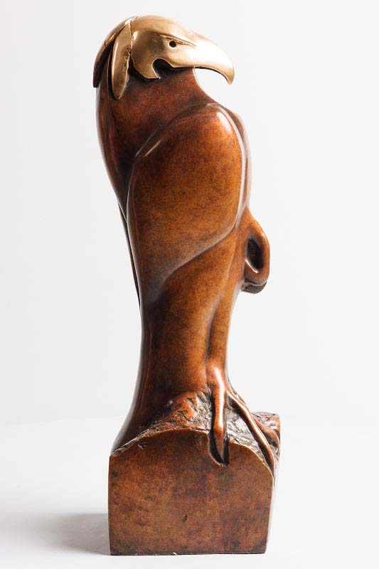 Anna Linnane (b.1965) Hooded Eagle bronze - no 4 from an edition of 9 signed & numbered 55 x 14 x - Image 4 of 7