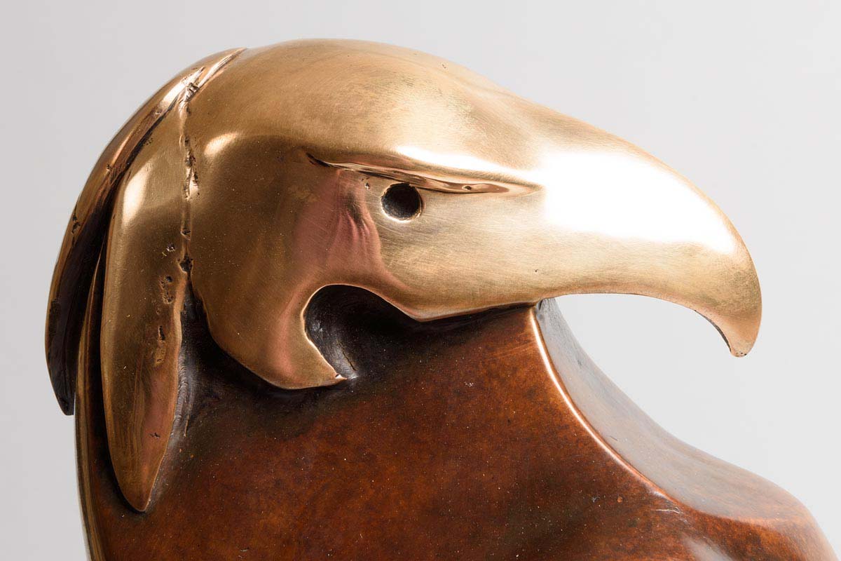 Anna Linnane (b.1965) Hooded Eagle bronze - no 4 from an edition of 9 signed & numbered 55 x 14 x - Image 7 of 7