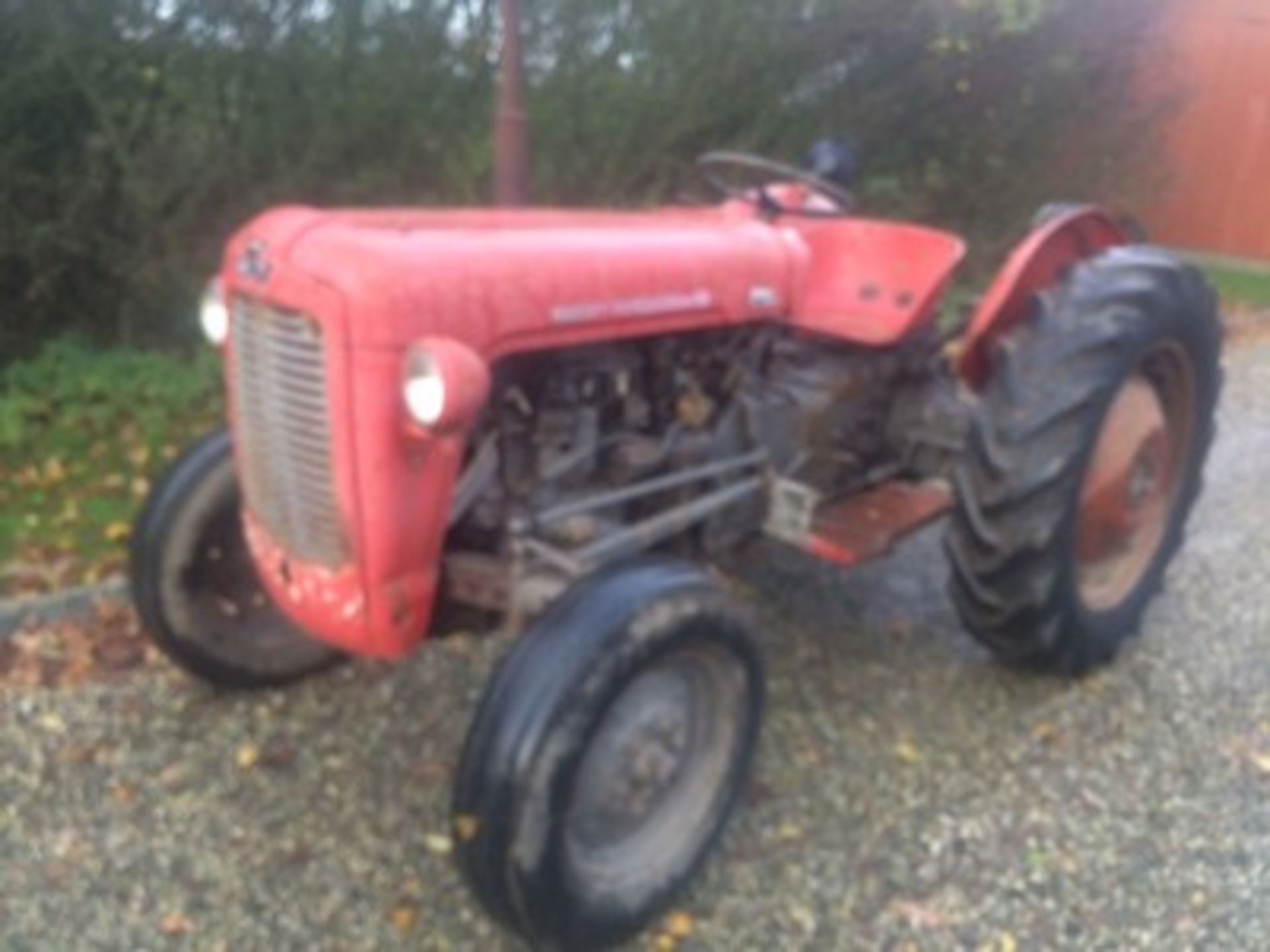 MASSEY FERGUSON Age unknown - these Tratctors where produced between 1956 and 1964 - this example