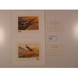 2 Nicolas Trudgian Limited Edition prints comprising of “Combat over New Guinea” 600/800 and “