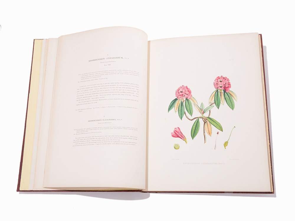 Hooker, “The Rhododendrons of Sikkim-Himalaya,” London, 1849-51Joseph Dalton Hooker (1817-1911) – - Image 7 of 10