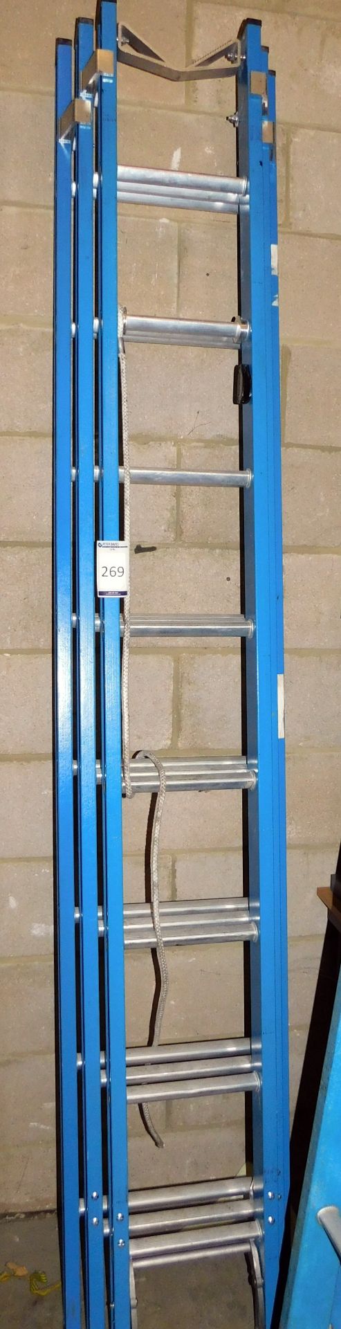 Twenty Four Tread Triple Extension Ladder Set