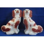 Pair of large Staffordshire Pottery red and white seated spaniels with tan muzzles and over gilding.