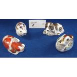 Four Royal Crown Derby bone china paperweights: 'Scruff'; collectors guild 'Duckling';