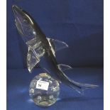 Large Murano glass ornament in the form of a shark leaping above a paperweight with internal