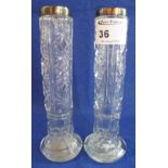 Pair of cut glass specimen vases of cylinder form with silver collars.