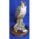 Royal Doulton matt glazed 'Peregrine Falcon', modelled by J.G. Tongue, HN3541.