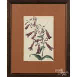 Framed butterfly print, together with a botanical print, 9'' x 6 1/2''.