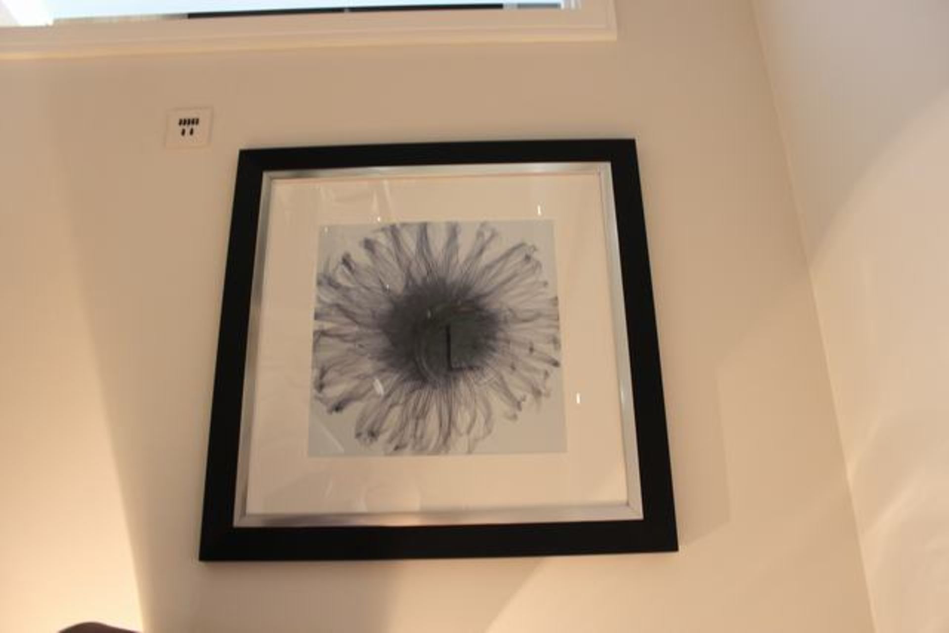 Modern botanical print in frame 800mm x 800mm