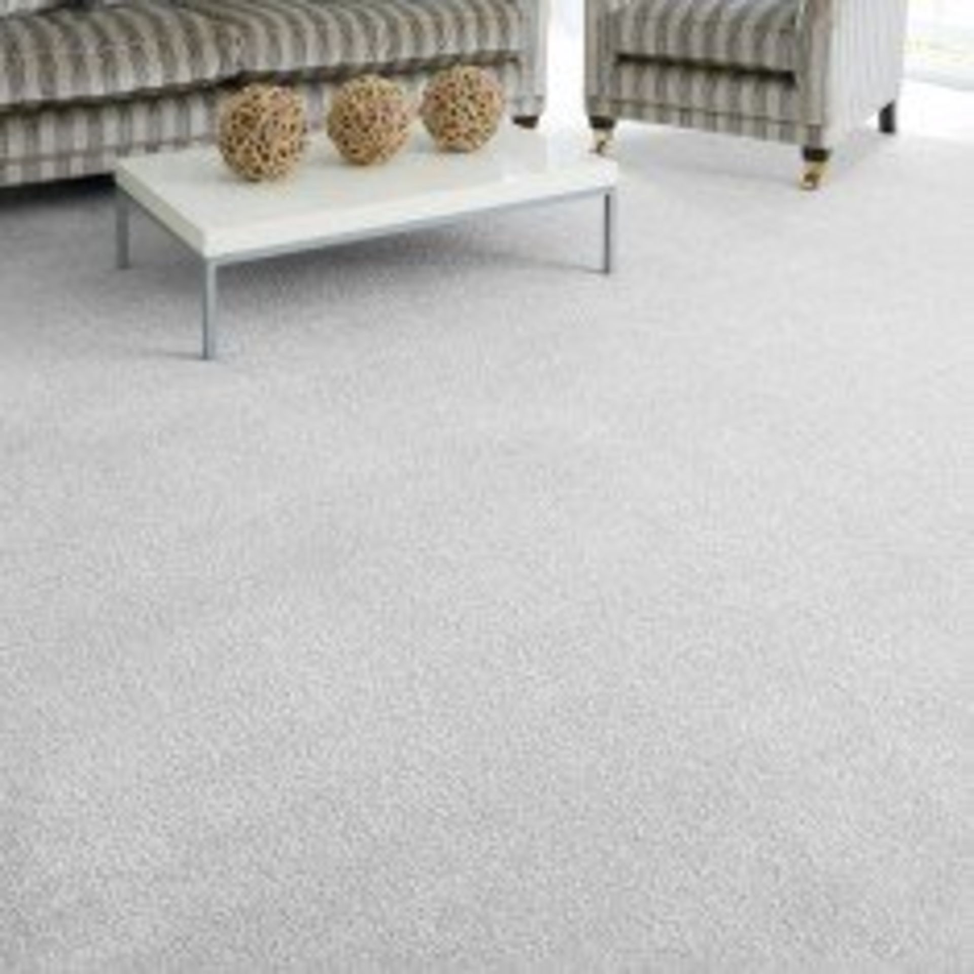 Saxony style artic grey commercial plain carpet 3800mm x 2500mm