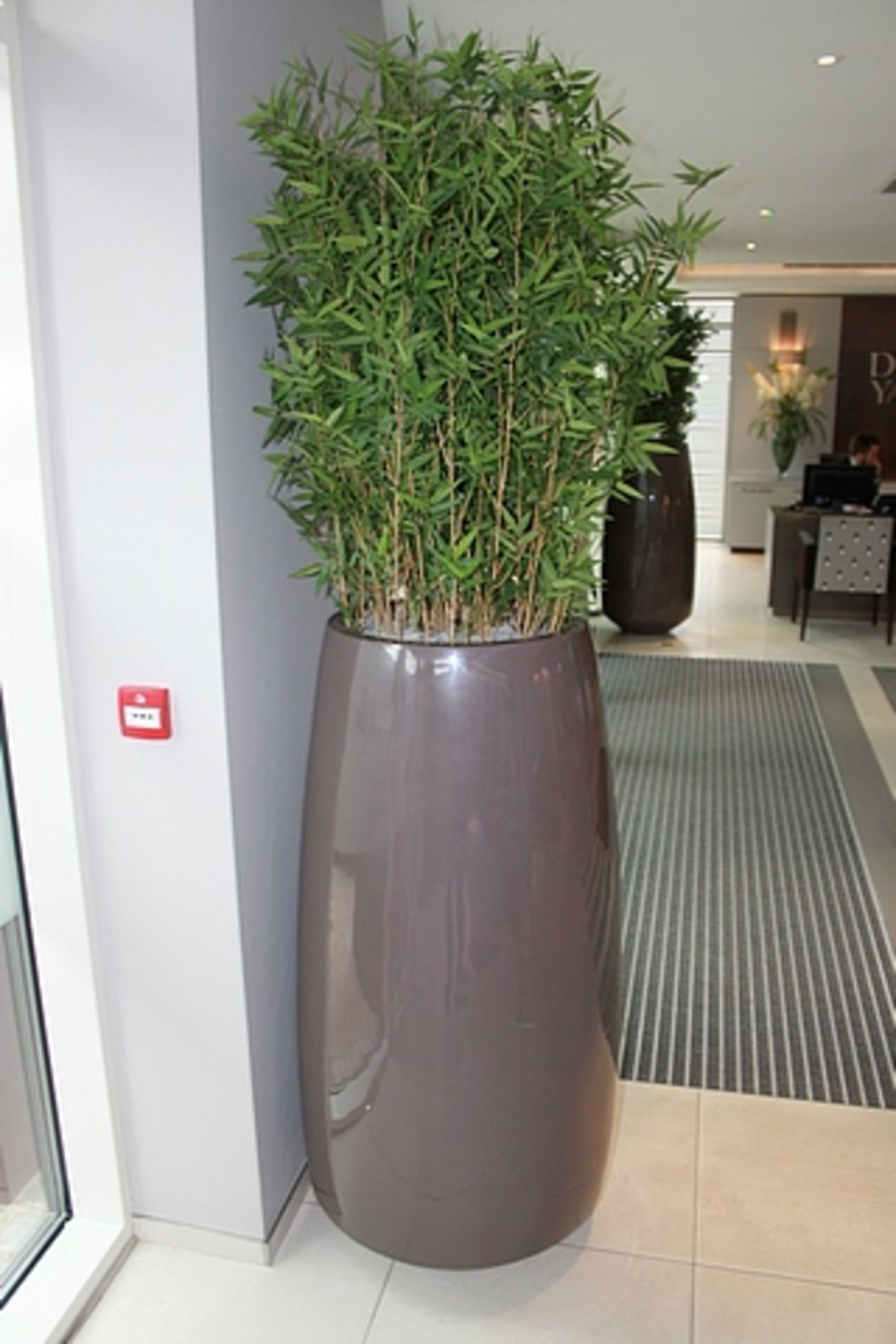 A composite planter 1320mm tall