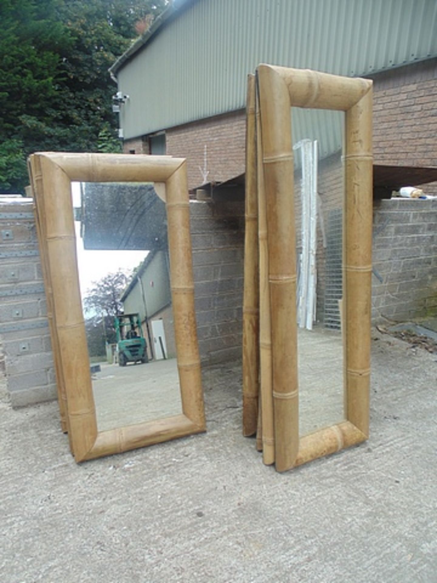 Bamboo style framed mirror 600mm x 1810mm