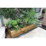 Timber rectangular planter 1650mm x 660mm x 420mm