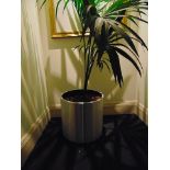 A brushed steel planter 410mm x 425mm