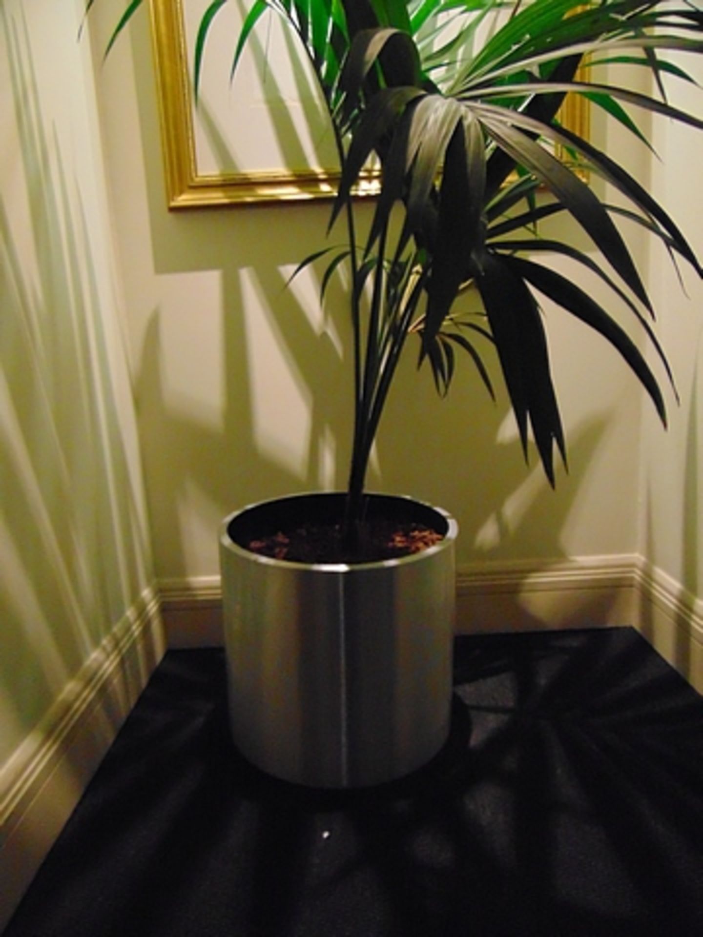 A brushed steel planter 410mm x 425mm