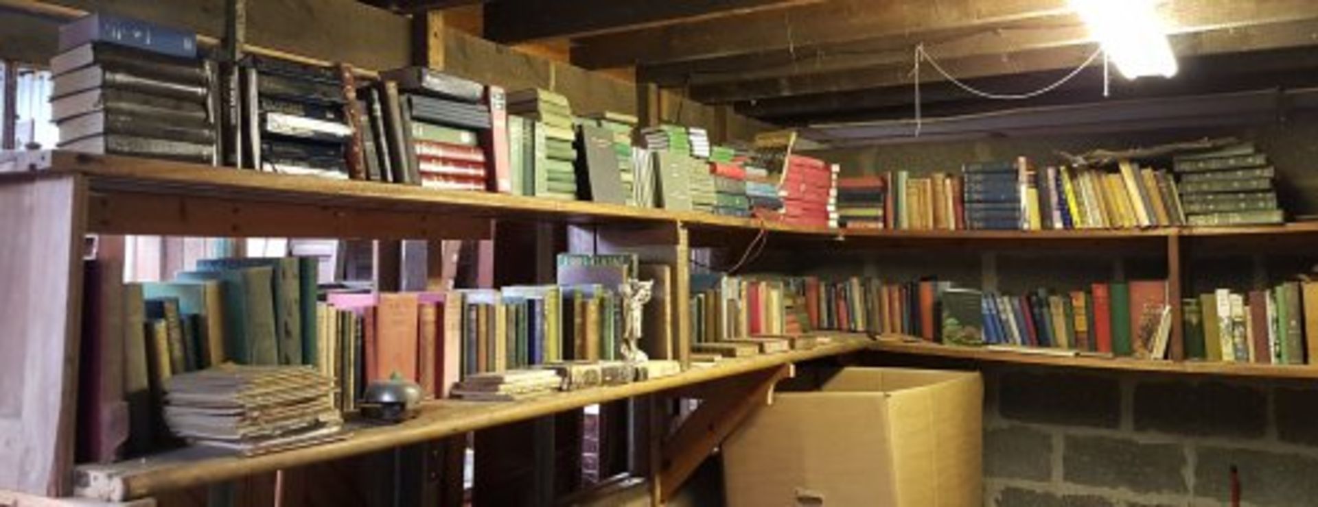 Library - Two Long Shelves of Books - Image 2 of 2