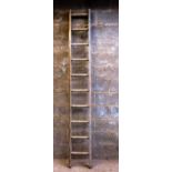 Old Fruit Picking Ladder Ten Rungs