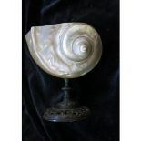 Mother Of Pearl Conch Shell Incense Holder On Stand