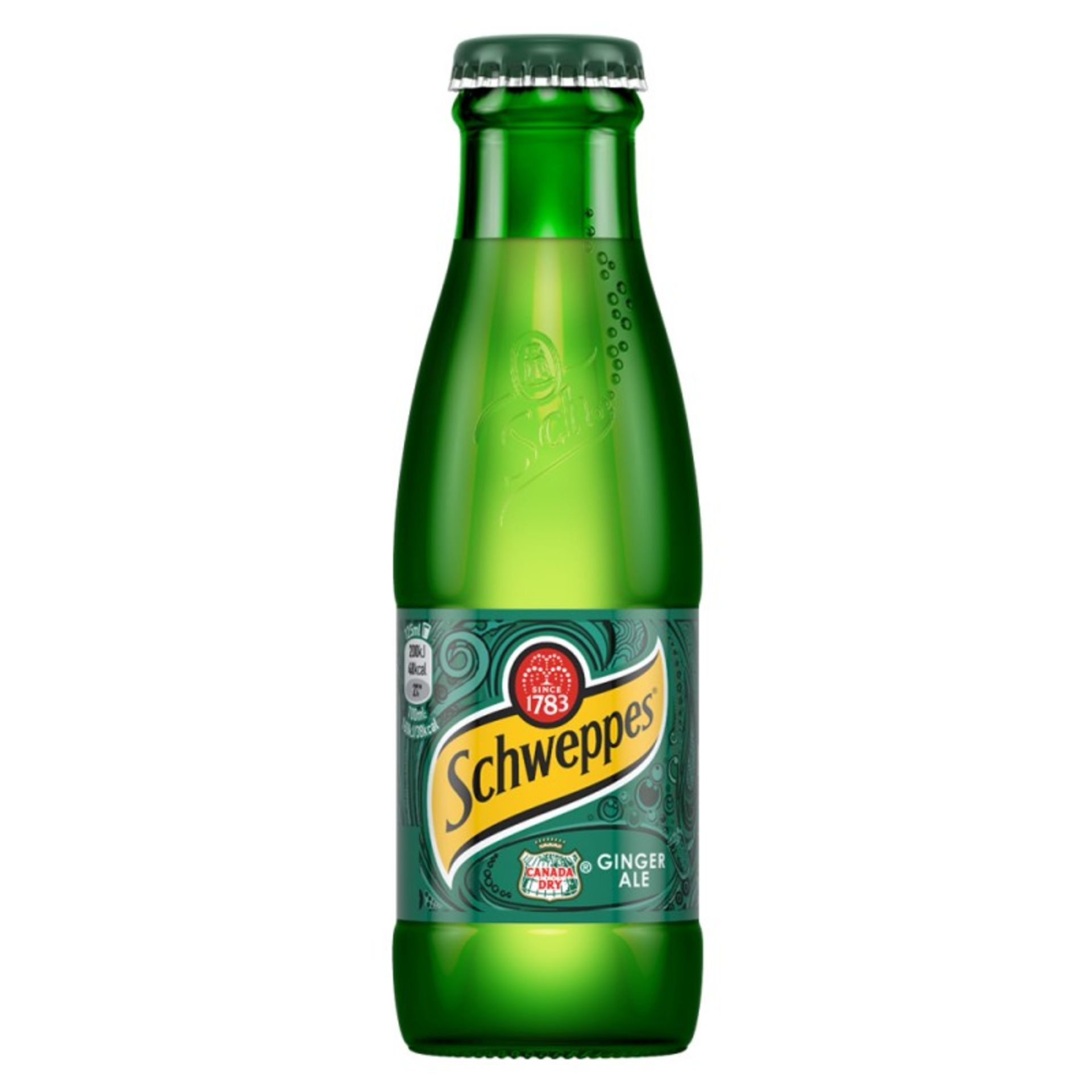 13 x Schweppes ginger ale 125ml
