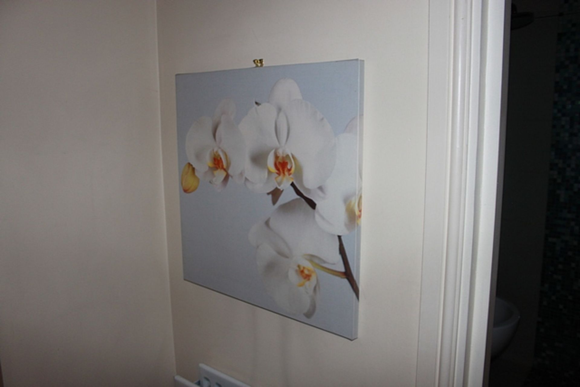 A set of 3 box wall art depicting orchids 560mm x 570mm - Image 3 of 3