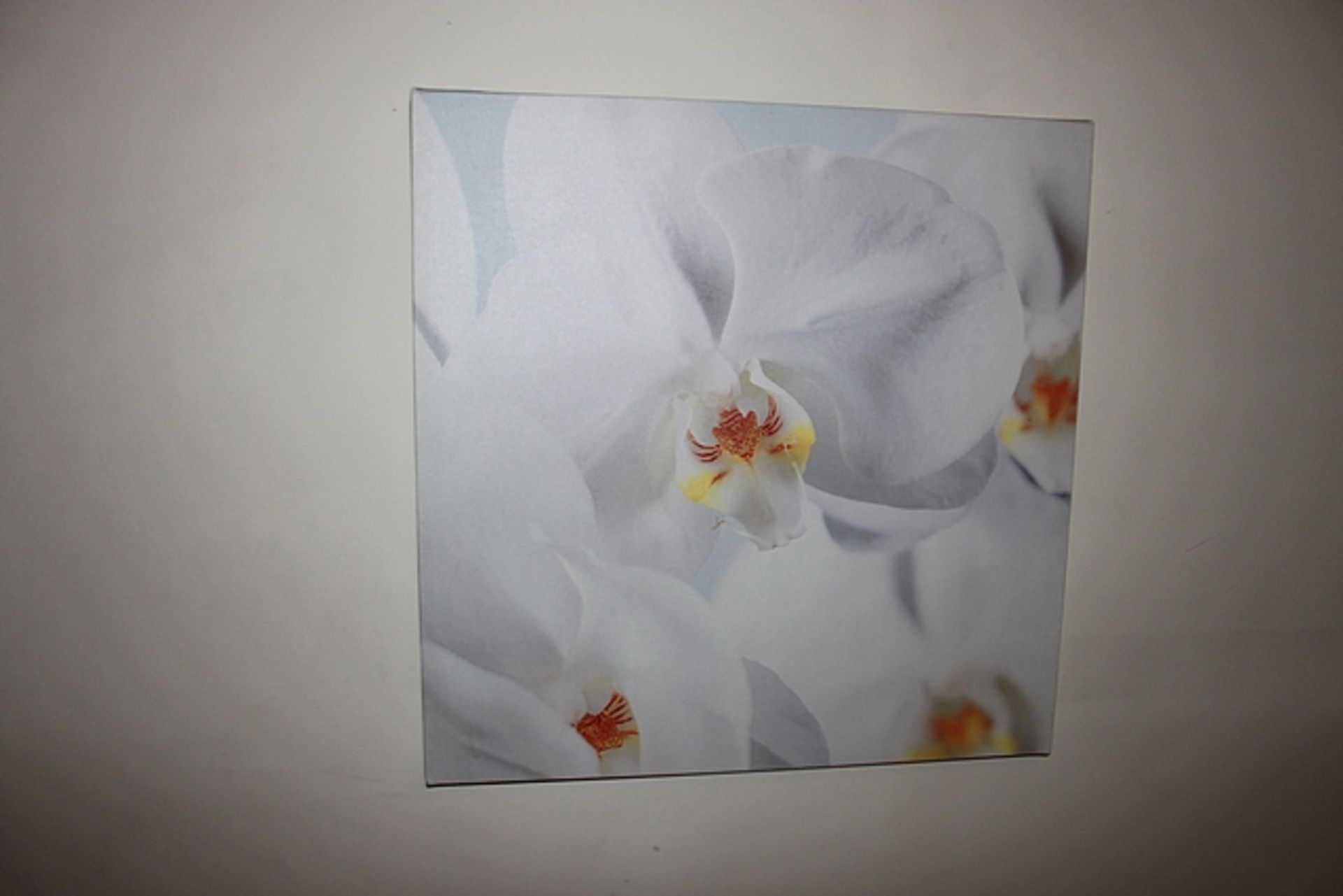 A set of 3 box wall art depicting orchids 560mm x 570mm - Image 2 of 3