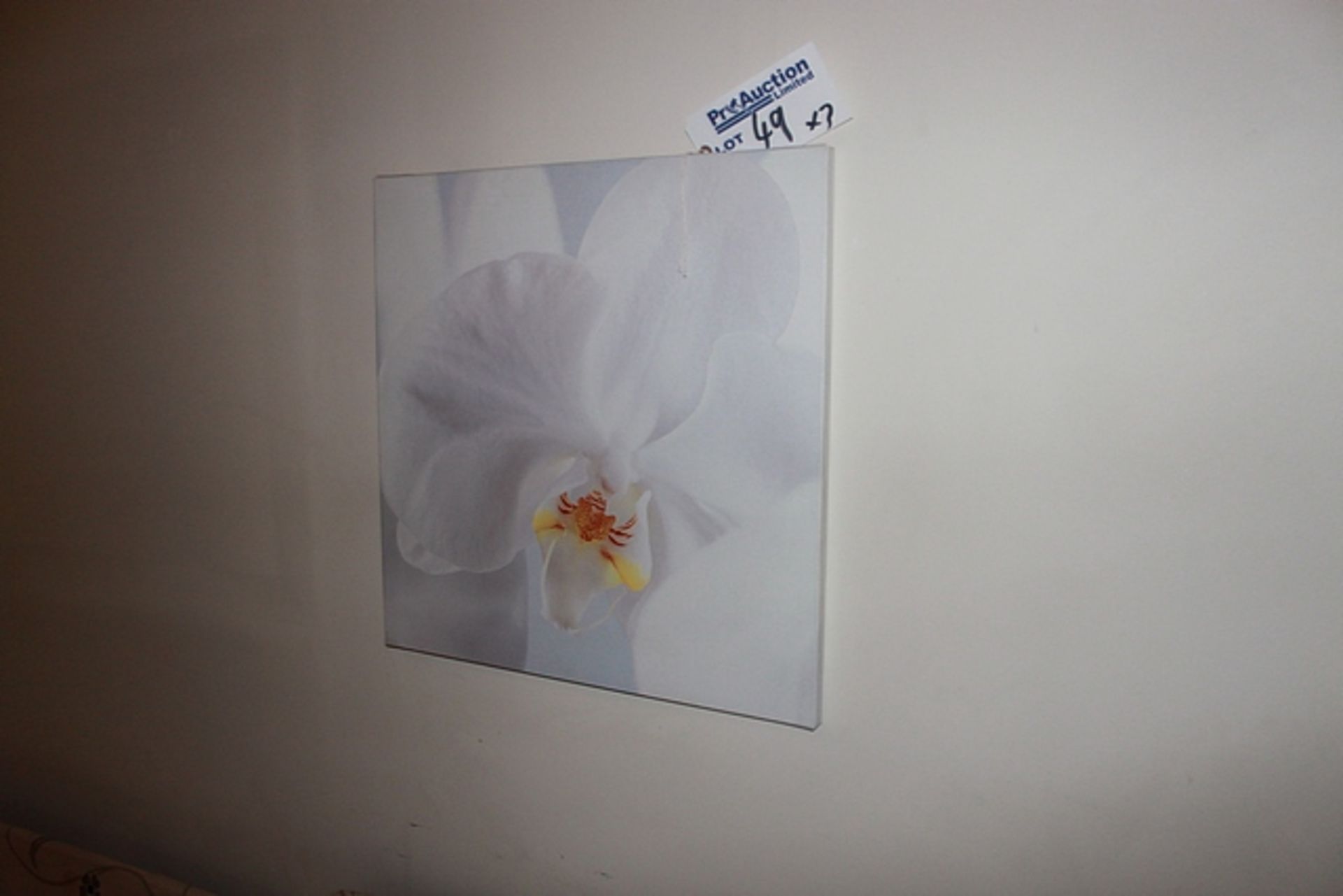 A set of 3 box wall art depicting orchids 560mm x 570mm