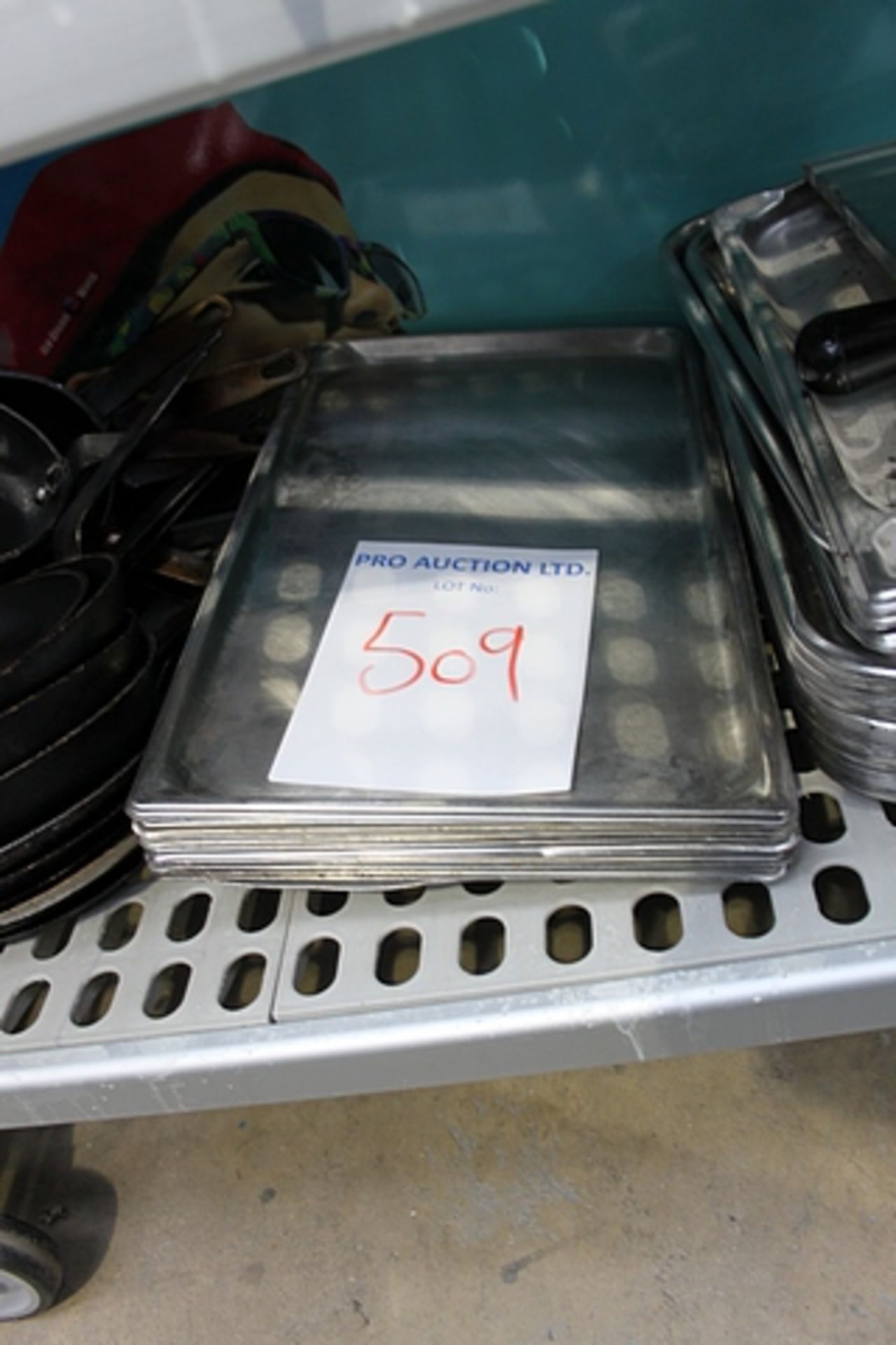 Various stainless steel trays