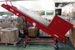 Nicholson hopper & conveyor system