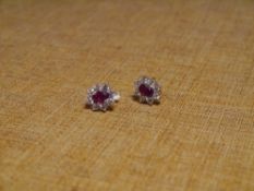 A pair of ruby and colourless stone cluster earrings, the oval cut ruby within a band of stones,