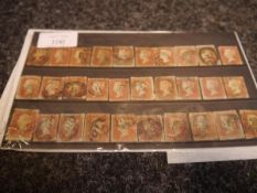 Early Great Britain penny reds stamps on stock card (30 stamps)