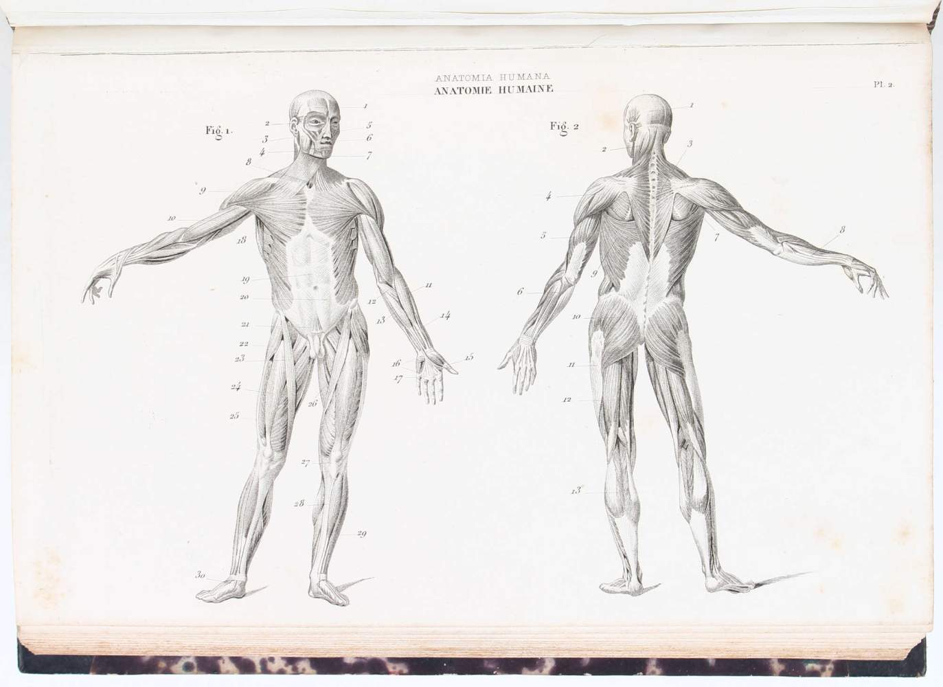 Lexika. - Courtin, (E. M. P. M. A.) Encyclopédie moderne ou dictionnaire abrégé des sciences, des - Image 4 of 5