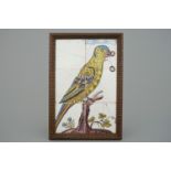 A polychrome tile plaque or panel with a parrot, Lille, 18th C. - Dim.: 39,5 x 27 cm A pair of