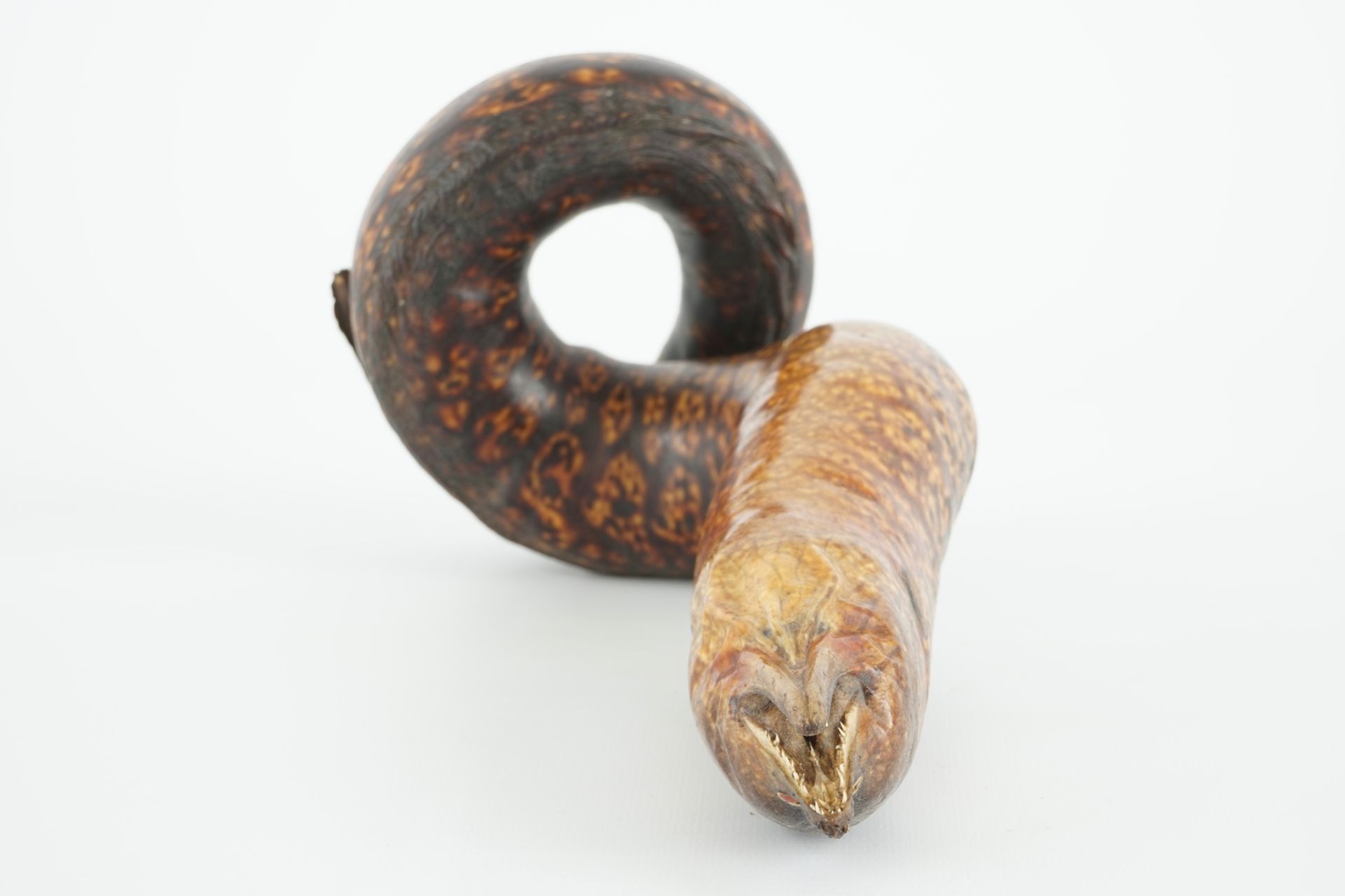 A moray eel, taxidermy, early 20th C. H.: 28 cm Condition reports and high resolution pictures are - Image 7 of 7