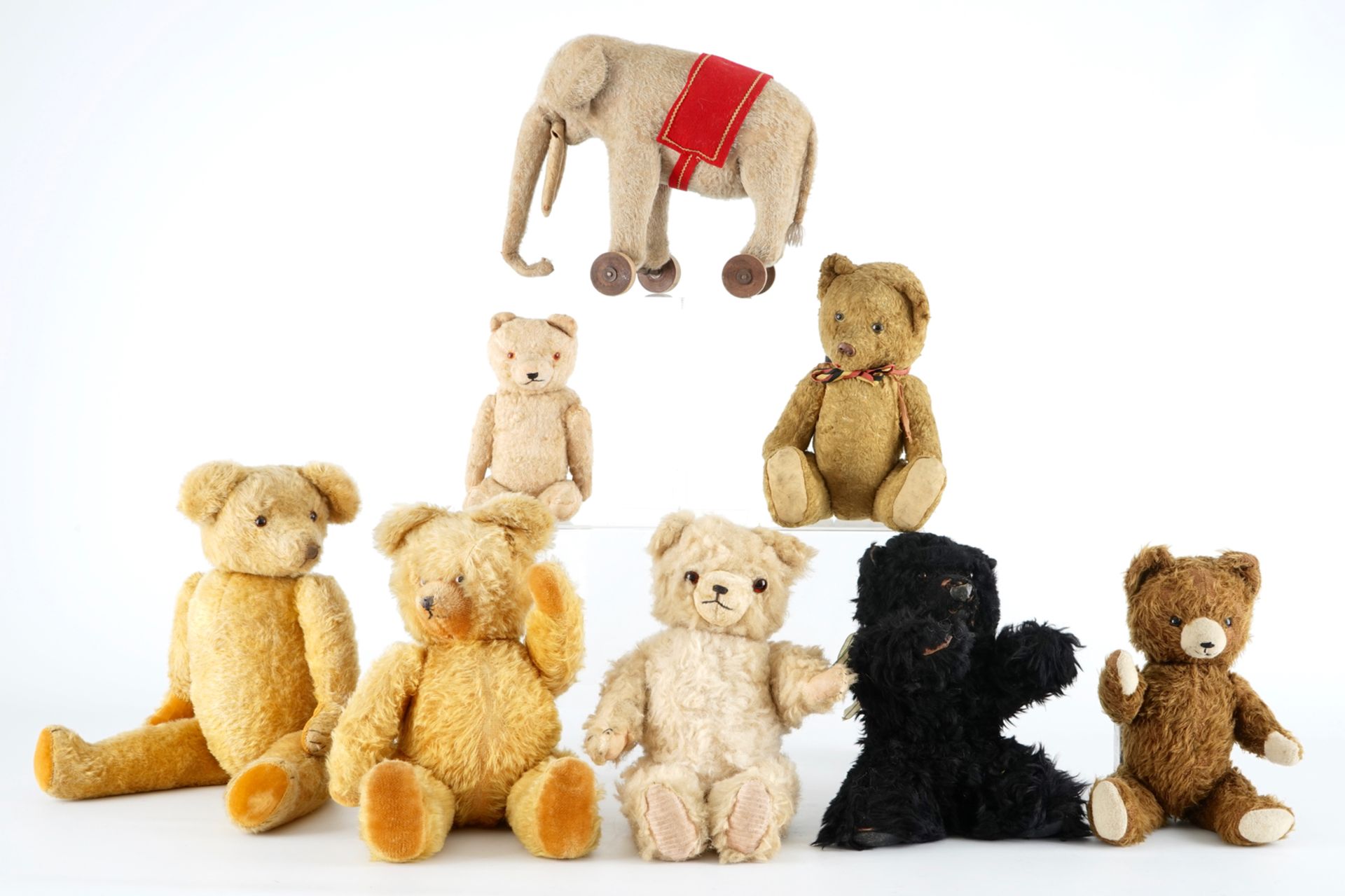 A set of seven teddy bears and an elephant, early 20th C. H.: 56 cm (the tallest example)