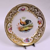 CHAMBERLAINS WORCESTER PORCELAIN - lobed circular plate almost identical to the Nantgarw MacIntosh