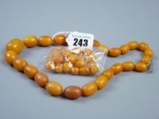 A graduated set of amber beads, 43 cms long plus others, 64 grms total weight