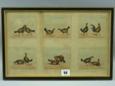 Six cockfighting engravings, 8 x 9 cms each on one plate, 23 x 37 cms