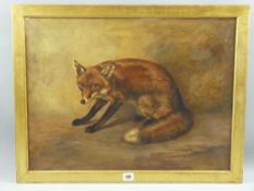 19th Century English School oil on canvas - full body study of a wary fox, 45 x 60 cms
