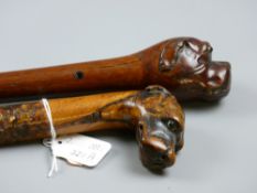A natural wood walking cane with dog's head carved handle set with glass eyes, 90 cms long and a