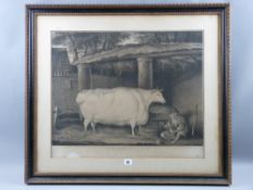 After THOMAS WEAVER black and white engraving - 'A Short Horned Heifer, Seven Years Old, Bred and