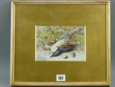 G DENDY fine painted watercolour study - titled verso 'Dead Bird', 12 x 17 cms in a gilt mount and