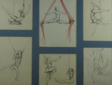 PHILIPPA JACOBS pencil - a frame of six pencil studies of a trapeze artist in various actions,