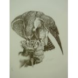 CHARLES FREDERICK TUNNICLIFFE limited edition (11/90) print - raptor taking prey out of a hand,