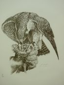 CHARLES FREDERICK TUNNICLIFFE limited edition (11/90) print - raptor taking prey out of a hand,